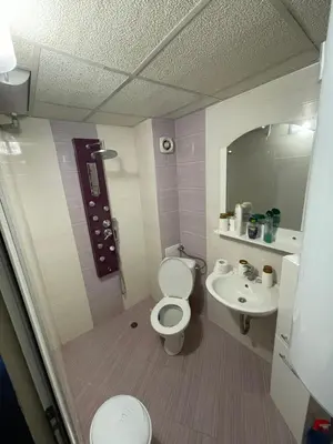 a small bathroom with a toilet and a sink at DeTY’s Guest House in Drachevo