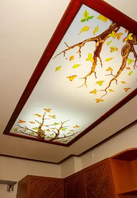 a skylight in a ceiling with leaves on it at Cozy 1BD Apartment with Free Parking in the Area by Flat Mаnager in Varna City