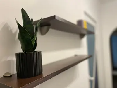 a plant in a black pot sitting on a shelf at Sity Home in Burgas City