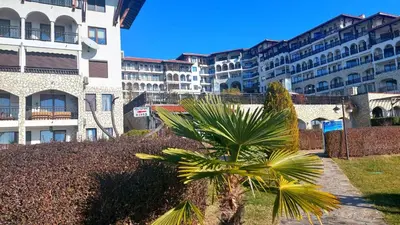 a palm tree in front of some buildings at Monastery II Garden stay like home in Sveti Vlas