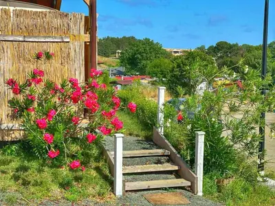 a wooden staircase with pink flowers next to a fence at каравани Дрийм Арапя in Tsarevo