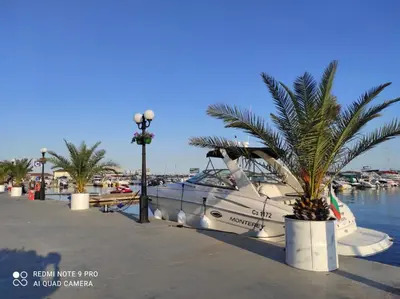 a boat is docked at a marina with palm trees at Sveti Vlas Sky Dreams Apartment in Sveti Vlas
