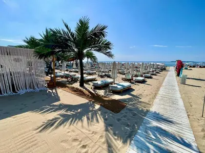 a row of beach chairs and palm trees on a beach at Luxurious 2 BR Appt at the Black Sea Coast in Sunny Beach