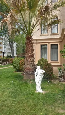 a statue in the grass in front of a palm tree at Апартамент под наем С208 в Афродита Гарденс in Sunny Beach
