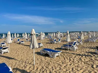 a bunch of chairs and umbrellas on a beach at ROYAL BEACH & APARTAMENT in Sunny Beach