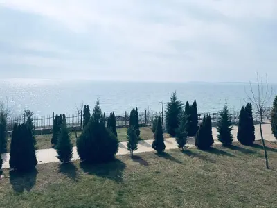 a group of trees in a field next to the ocean at Beautiful apartment right by the sea, Sveti Vlas in Sveti Vlas