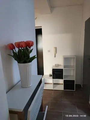 a vase of red tulips sitting on a counter in a kitchen at Royal Apartments Varna in Varna City