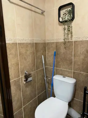 a bathroom with a toilet with a mop at Студия Sea Breeze in Sveti Vlas