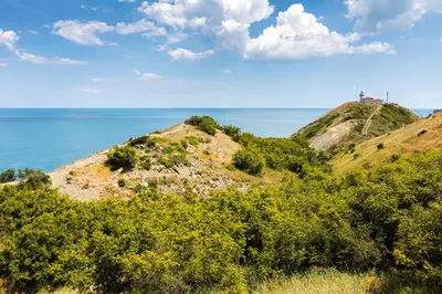 a hill with trees and the ocean in the background at Villa Entre in Emona