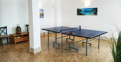 a ping pong table in a room with a ping pong ball at Villa Meraki in Byala