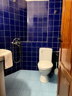 a blue tiled bathroom with a toilet and a shower at Apart Zefira 2 Rooms in Varna City